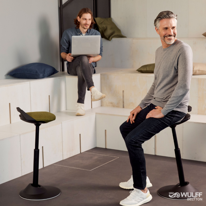 Balansstolar: Det Ultimata Valet för Hälsa och Komfort