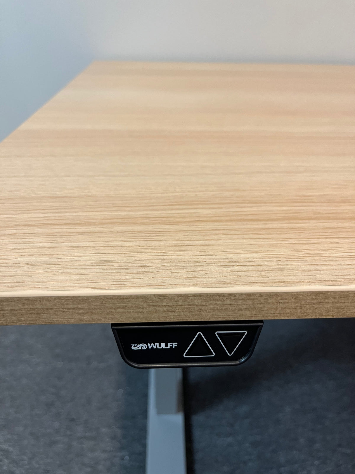 Höj- och Sänkbart Skrivbord 120x80cm