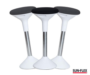 SUN-FLEX® Active Balanspall - Wulff Beltton