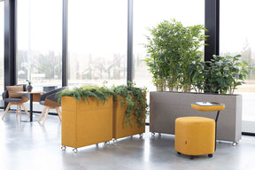 plant-divider