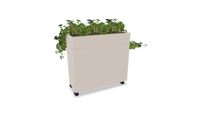 Rumsavdelare Plant Divider Large